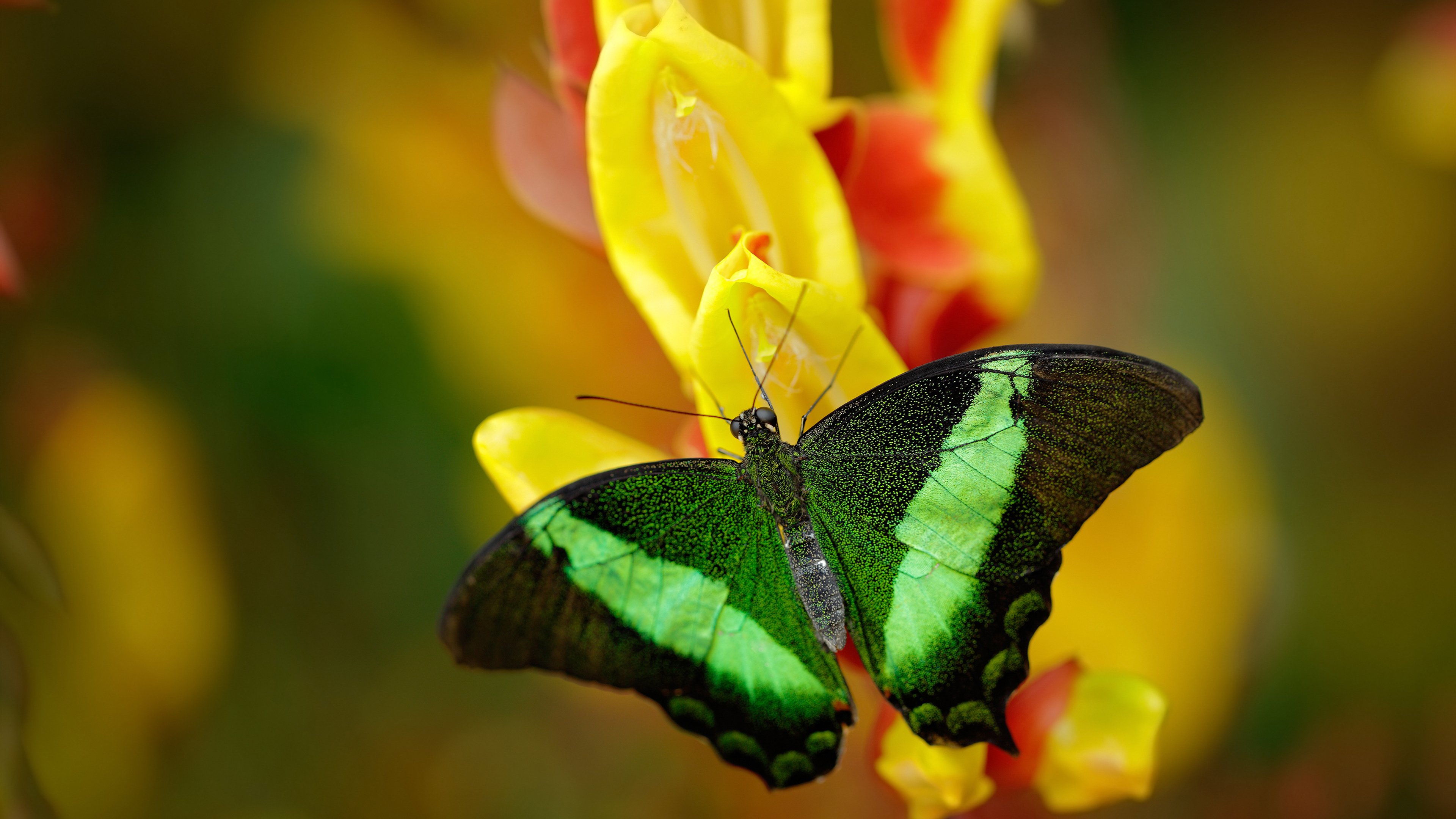 九游下载官网-全国青少年“拼搏之星”年度评选正式启动，表彰未来之星，拼搏之星什么意思
